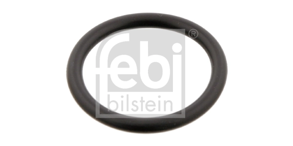 Seal Ring, coolant pipe